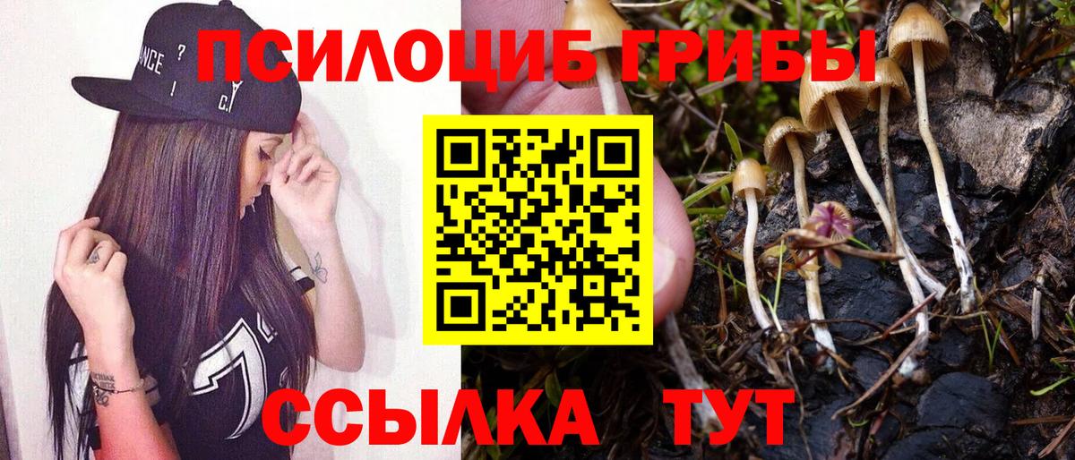 Усть-Джегута  Галлюциногенные грибы Cubensis  продажа наркотиков  Вход с VPN 