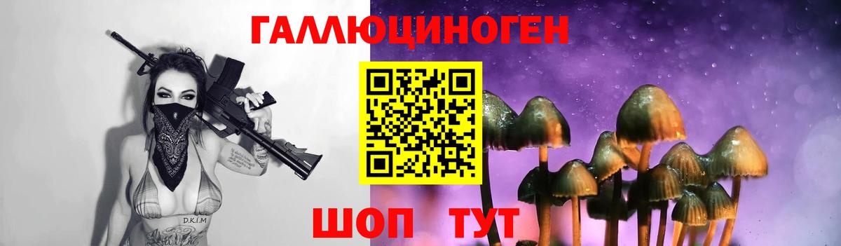 Псилоцибиновые грибы ЛСД Усть-Джегута